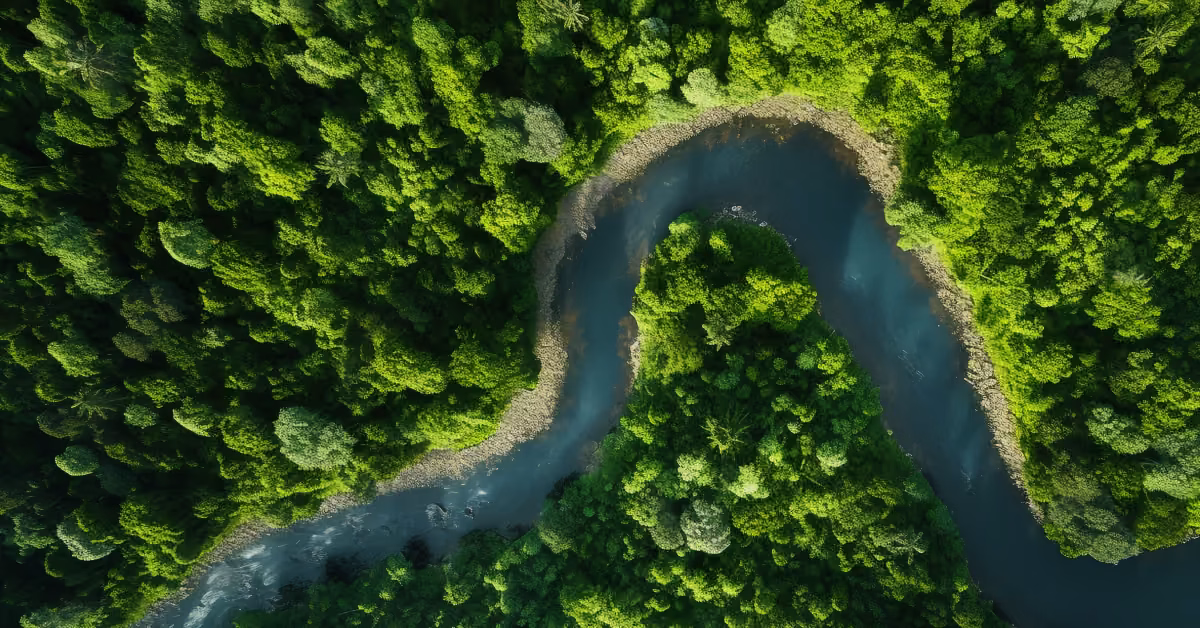 Eleving Group announces its intention of initial public offering in the Baltics and Frankfurt