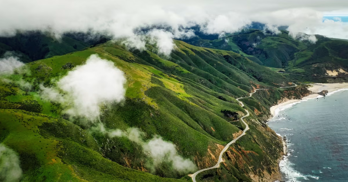 The highest-yielding stock in the Baltics, according to Enlight Research’s estimate