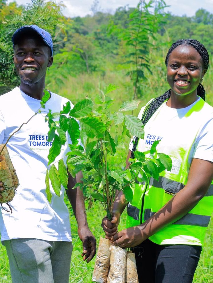 People holding a plant